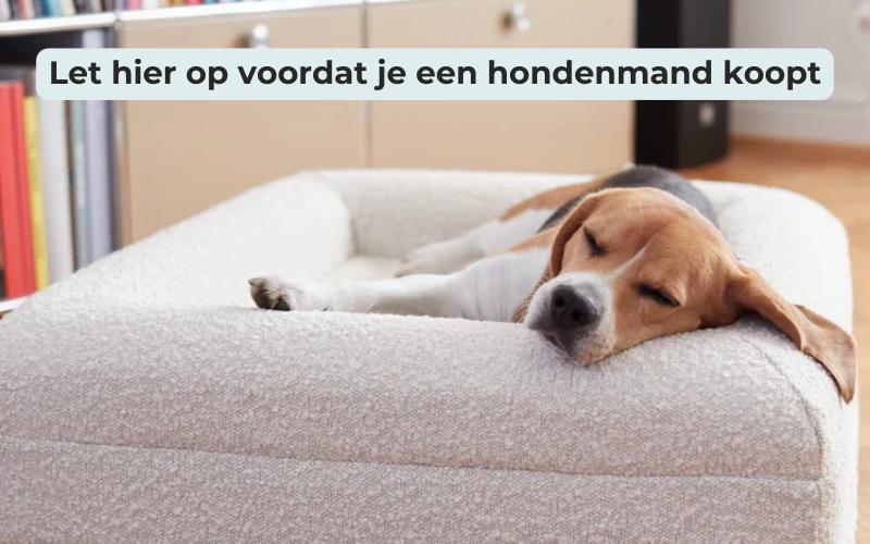 Let hier op bij het kopen van een orthopedische hondenmand