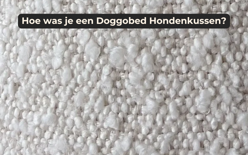 Hoe was je een hondenkussen?